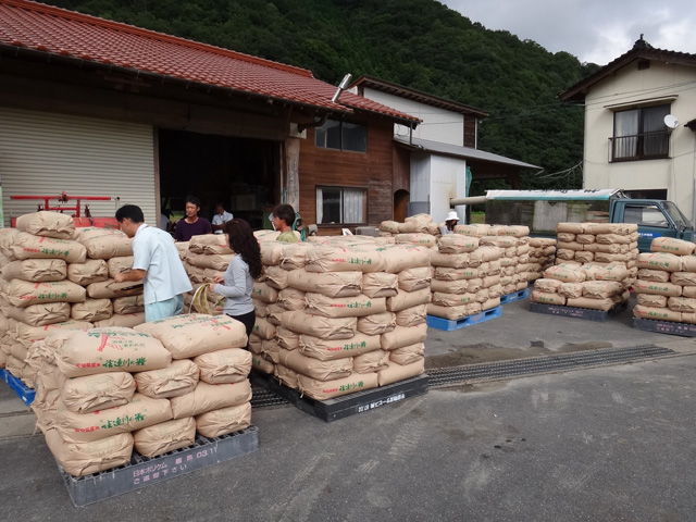 株式会社日食　初検査　ＪＡ西いわみ　検査員　島根県鹿足郡吉賀町注連川　注連川の糧　土井義則会長　作業場