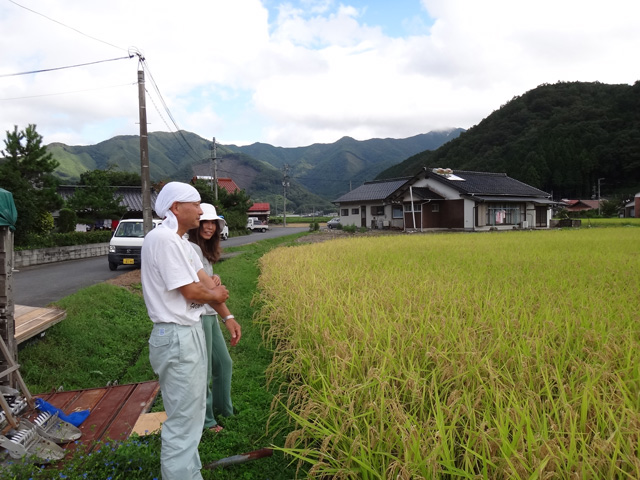 株式会社日食　島根県鹿足郡吉賀町注連川　無肥料　無農薬　コシヒカリ圃場