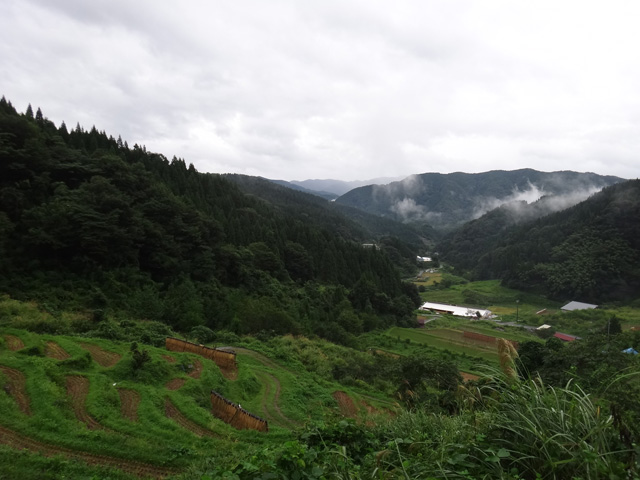 株式会社日食　【熊波の棚田】　兵庫県但馬　美方郡香美町村岡区熊波　棚田米コシヒカリ