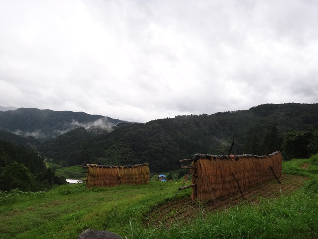 株式会社日食　【熊波の棚田】　兵庫県但馬　美方郡香美町村岡区熊波　棚田米コシヒカリ