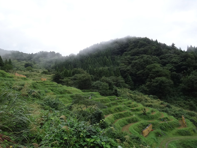 株式会社日食　【熊波の棚田】　兵庫県但馬　美方郡香美町村岡区熊波　棚田米コシヒカリ