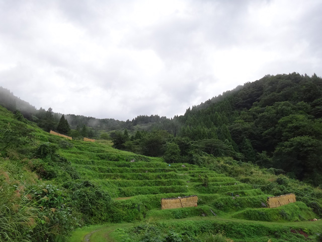 株式会社日食　【熊波の棚田】　兵庫県但馬　美方郡香美町村岡区熊波　棚田米コシヒカリ