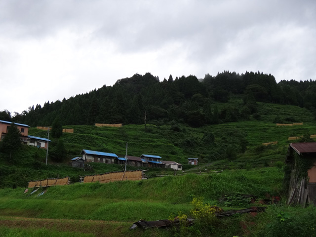 株式会社日食　【熊波の棚田】　兵庫県但馬　美方郡香美町村岡区熊波　棚田米コシヒカリ