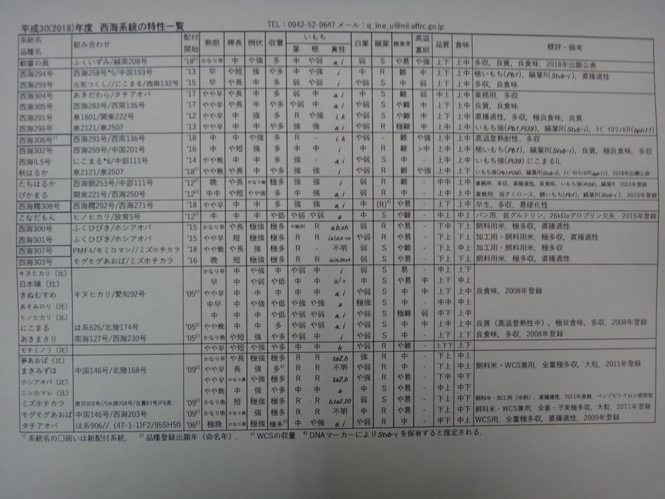 株式会社日食　福岡県筑後市大字和泉　農研機構 九州沖縄農業研究センター 稲育種グループ　西海系統　特性一覧