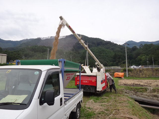 株式会社日食　稲刈り　島根県鹿足郡吉賀町立戸　森下保さん　