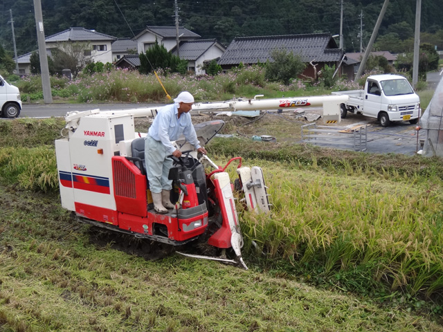 株式会社日食　稲刈り　島根県鹿足郡吉賀町立戸　森下保さん　