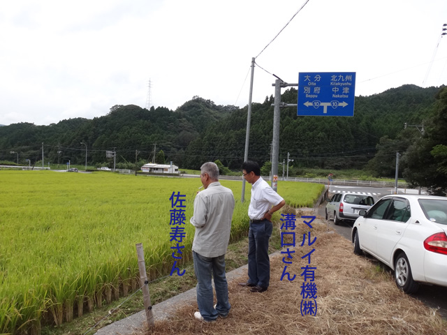 株式会社日食　大分県杵築市山香町　研修会　田んぼ視察　ヒノヒカリ　マルイ有機㈱　溝口さん　佐藤寿さん