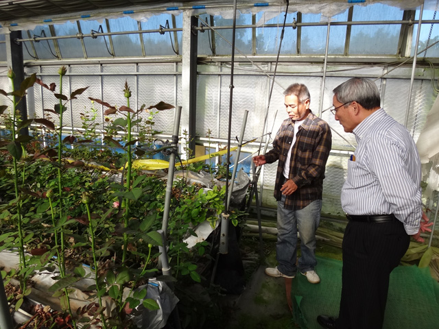 株式会社日食　佐藤バラ園　佐藤寿　大分県杵築市山香町大字野原　視察　㈱うちだ屋　内田社長