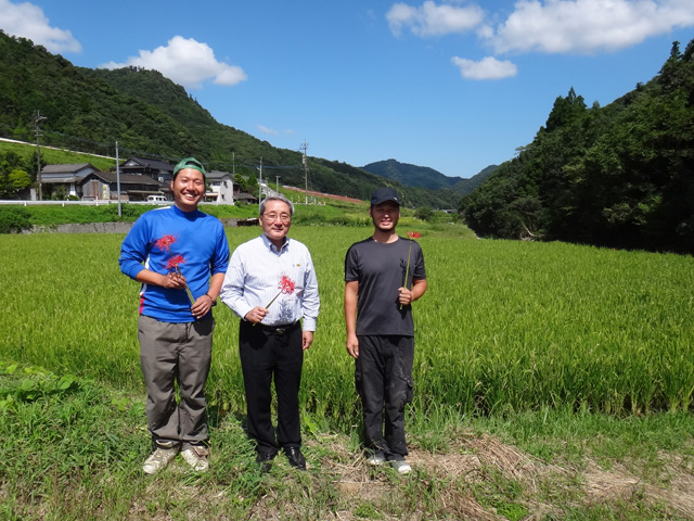 大分県中津市本耶馬渓町　稲作屋　井上家　米積み　井上幸宏さん　井上国宏さん　㈱うちだ屋　内田社長