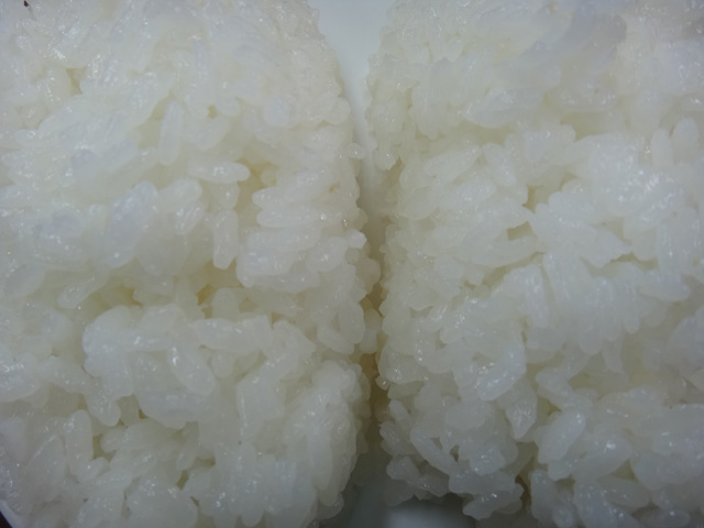 株式会社日食　今日のごはんの試食　２４年産　新米コシヒカリ　島根県鹿足郡吉賀町