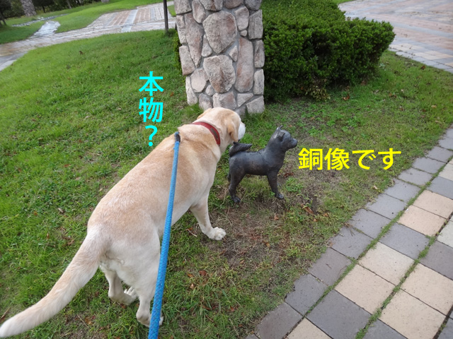 株式会社日食　愛犬ナナ　ゴールデン　ラブラドール　レトリバー　お散歩　犬のモニュメント　駕与丁公園　福岡県粕屋郡粕屋町