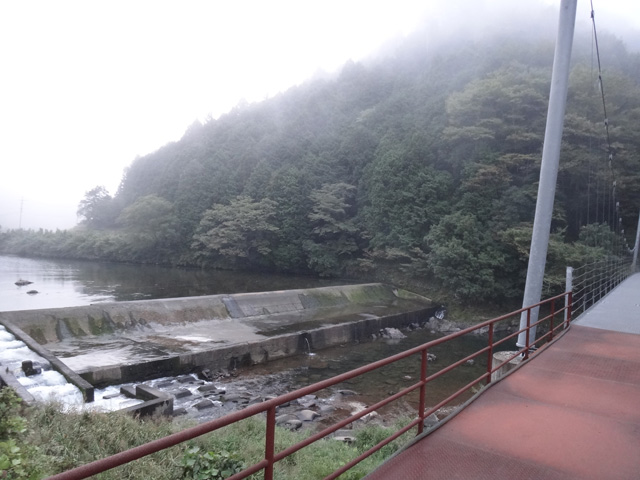 株式会社日食　国道１８７号線　島根県鹿足郡吉賀町柿木村　高津川　朝霧