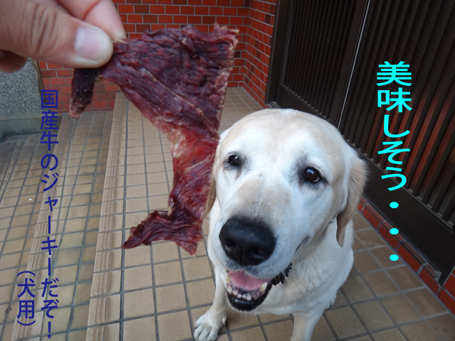 株式会社日食　愛犬ナナ　ゴールデン　ラブラドール　レトリバー　国産牛ジャーキー