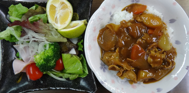株式会社日食　今日のお昼ごはん　カレー　サラダ