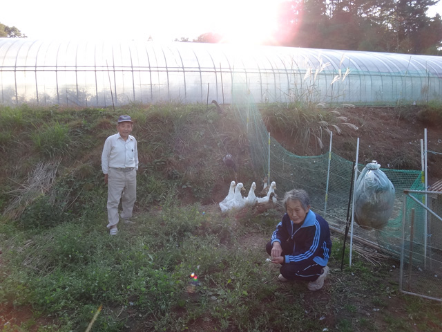 株式会社日食　農薬不使用のお米　２４年産　新米コシヒカリ　アイガモ農法　島根県飯石郡飯南町小田　三上忠さん　三上住子さん