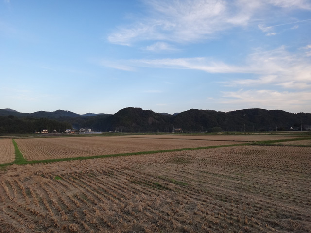 株式会社日食　大分県杵築市山香町　田んぼの風景