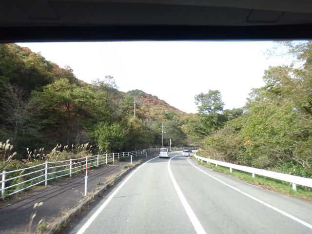 株式会社日食　国道３１４号線　広島県 庄原市西城町油木　紅葉