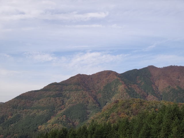 株式会社日食　三井野大橋　奥出雲おろちループ（国道314号三井野原道路）　島根県仁多郡奥出雲町