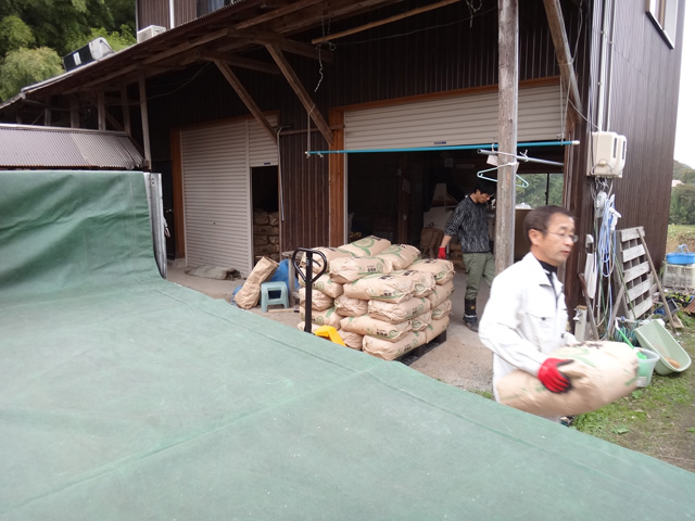 株式会社日食　２４年産　新米コシヒカリ　自信米ゴールド　積み込み　島根県安来市広瀬町東比田　須藤昌裕さん