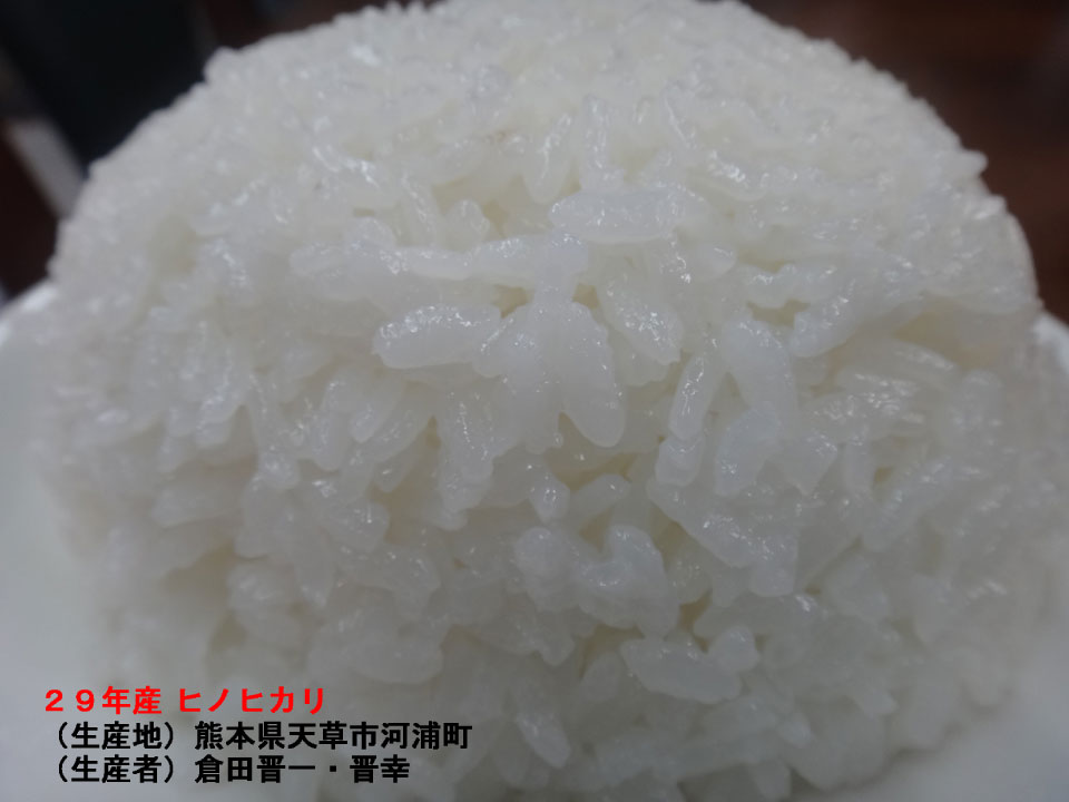 ヒノヒカリ・森のくまさんの食べ比べ | 日食の棚田米 | 安心・安全・無農薬の美味しいお米