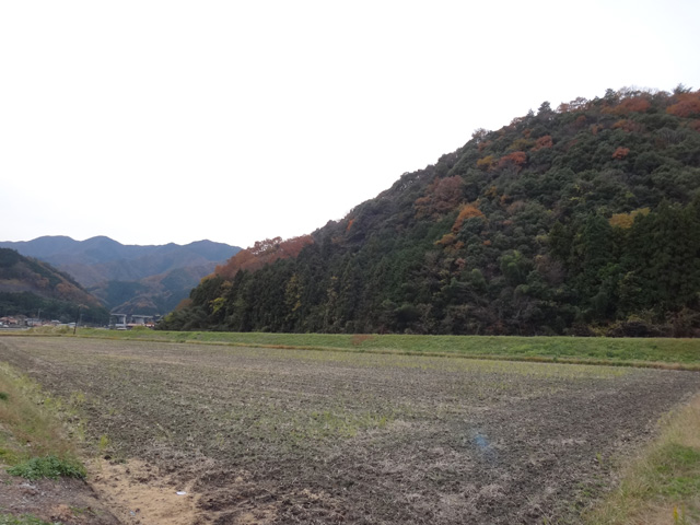 株式会社日食　島根県鹿足郡吉賀町注連川　注連川の糧　土井義則会長　田んぼ