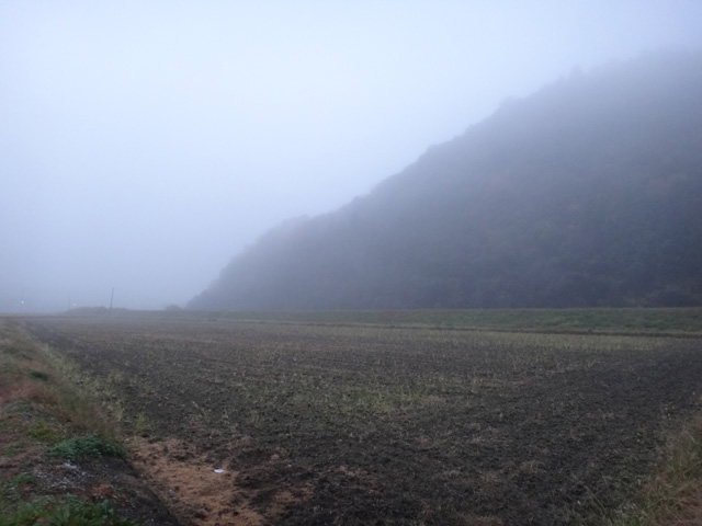 株式会社日食　島根県鹿足郡吉賀町注連川　注連川の糧　土井義則会長　田んぼ　朝霧