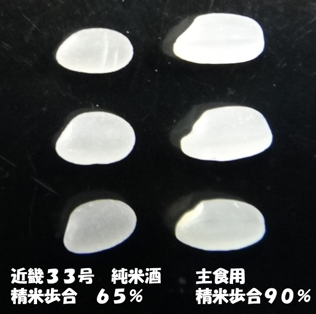 株式会社日食　純米酒　近畿３３号　精米歩合６５％　主食用　精米歩合９０％