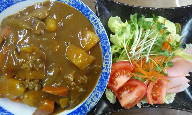 株式会社日食　今日のお昼ごはん　カレー　サラダ