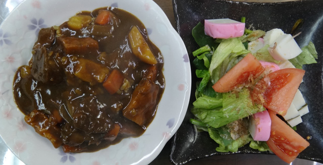 株式会社日食　今日のお昼ごはん　黒毛和牛すね肉のカレー　サラダ