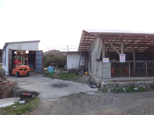 株式会社日食　熊本県天草市河浦町今富　愛らん農園　倉田晋一さん