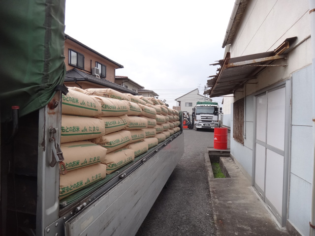 株式会社日食　ＪＡたまな　熊本県玉名市　米積み　２４年産　もりのくまさん