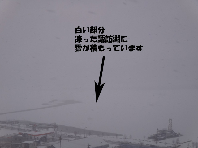 株式会社日食　諏訪湖サービスエリア　中央自動車道　上り線