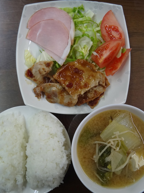 株式会社日食　今日のお昼ごはん　ごはん　味噌汁　豚の生姜焼き　サラダ