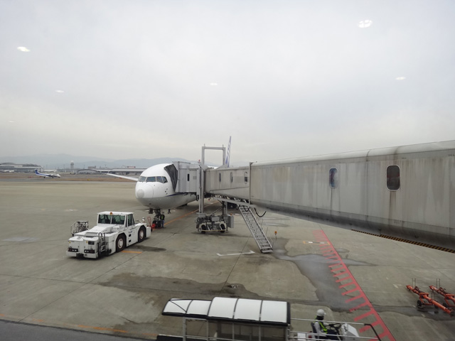 株式会社日食　沖縄県出張　福岡空港　ＡＮＡ　全日空　ボーイング767-300