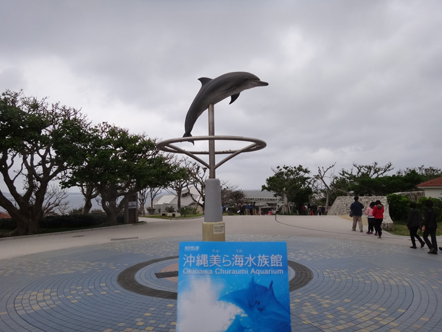 株式会社日食　沖縄出張　沖縄県国頭郡本部町　沖縄美ら海水族館