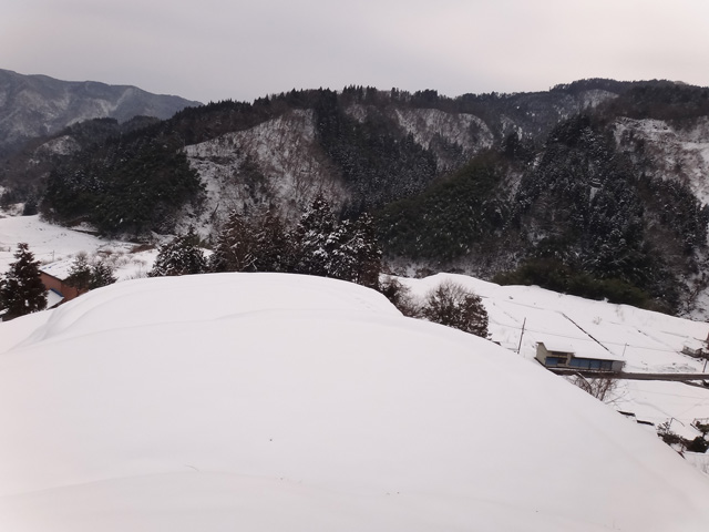 株式会社日食　【熊波の棚田】　兵庫県但馬　美方郡香美町村岡区熊波　棚田米コシヒカリ