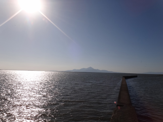 株式会社日食　国道５０１号線　熊本県熊本市西区松尾町　　有明海　島原半島　雲仙