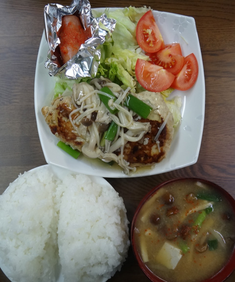 株式会社日食　今日のお昼ごはん　ごはん　味噌汁　豆腐ハンバーグ　辛子明太子　サラダ