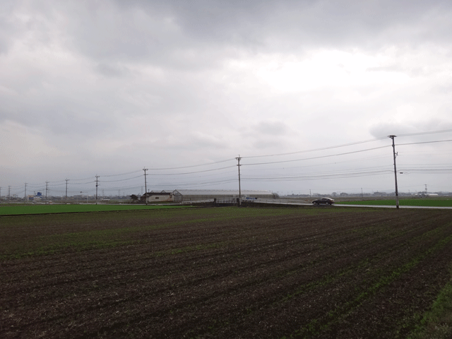 株式会社日食　　熊本市東区画図町　産地特選米　２４年産　特別栽培米　ヒノヒカリ