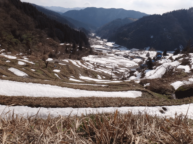 株式会社日食　【熊波の棚田】　兵庫県但馬　美方郡香美町村岡区熊波　棚田米コシヒカリ