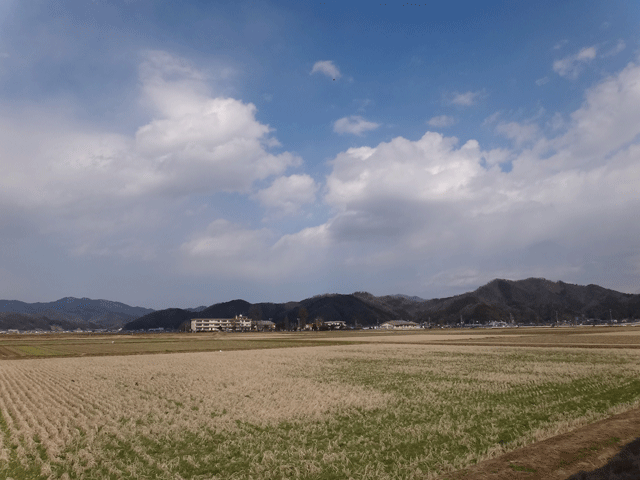 株式会社日食　兵庫県豊岡市木内　ＪＡたじま　豊岡カントリーエレベーター