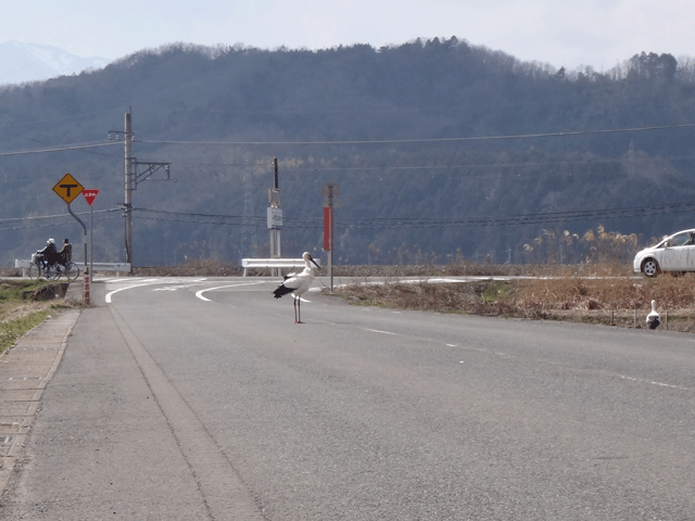 株式会社日食　コウノトリ　兵庫県但馬　豊岡市日高町