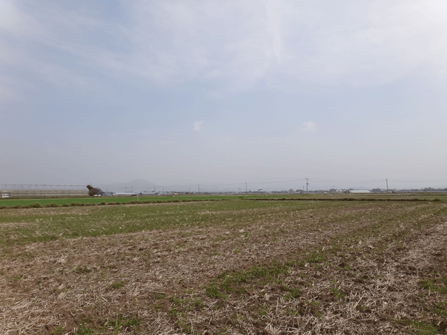 株式会社日食　　熊本市東区画図町　産地特選米　２４年産　特別栽培米　ヒノヒカリ