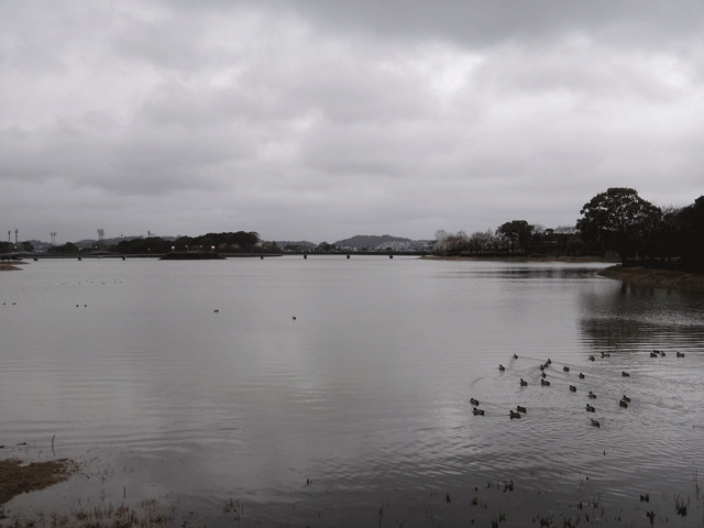 株式会社日食　福岡県糟屋郡糟屋町　駕与丁公園