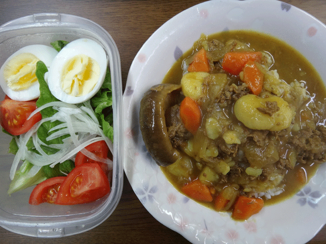 株式会社日食　今日のお昼ごはん　カレー　サラダ