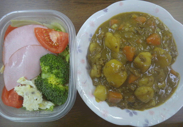 株式会社日食　今日のお昼ごはん　カレー　サラダ