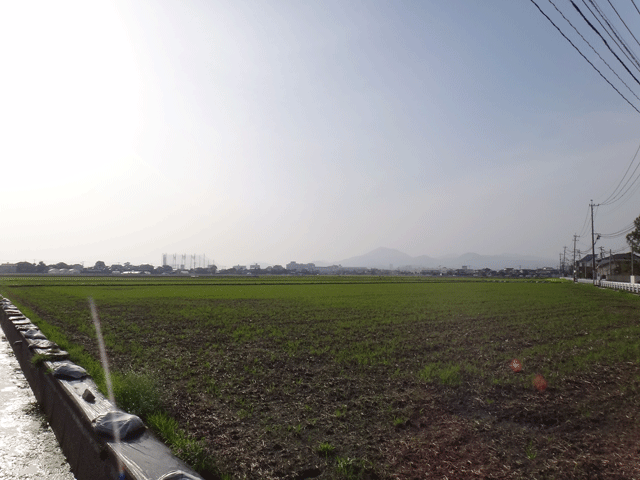 株式会社日食　　熊本市東区画図町　産地特選米　２４年産　特別栽培米　ヒノヒカリ