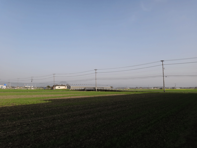 株式会社日食　　熊本市東区画図町　産地特選米　２４年産　特別栽培米　ヒノヒカリ