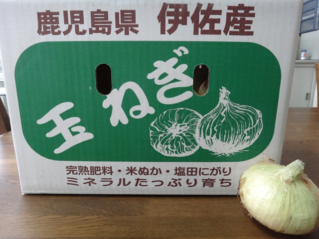 株式会社日食　鹿児島県伊佐産　新玉葱　有限会社ライス郷井手口