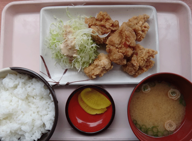 株式会社日食　今日のお昼ごはん　中国自動車道 美東サービスエリア（上り線）　唐揚げ定食　６００円